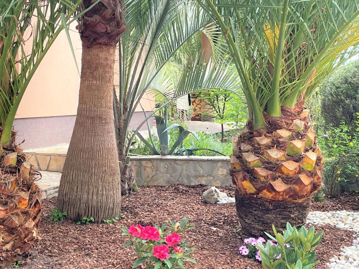 Grand Pool Apartment Ika-אופטיה מראה חיצוני תמונה
